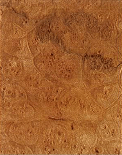 Burled Maple Plywood