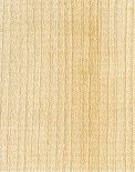 Quartered White Maple Plywood